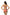 Swimsuit two piece Marko - CELIA MODA