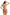 Swimsuit two piece Marko - CELIA MODA