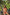 Swimsuit two piece Marko - CELIA MODA