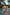 Swimsuit two piece Marko - CELIA MODA