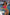 Swimsuit two piece Marko - CELIA MODA
