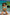 Swimsuit two piece Marko - CELIA MODA