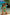 Swimsuit two piece Marko - CELIA MODA
