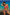 Swimsuit two piece Marko - CELIA MODA
