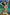 Swimsuit two piece Marko - CELIA MODA