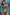 Swimsuit two piece Marko - CELIA MODA