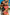Swimsuit two piece Marko - CELIA MODA