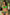 Swimsuit two piece Marko - CELIA MODA