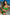 Swimsuit two piece Marko - CELIA MODA