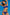 Swimsuit two piece Marko - CELIA MODA