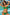 Swimsuit two piece Marko - CELIA MODA