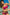 Swimsuit two piece Marko - CELIA MODA