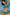 Swimsuit two piece Marko - CELIA MODA