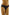 Panties Wolbar - CELIA MODA