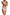 Panties Babell - CELIA MODA