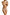 Panties Babell - CELIA MODA