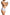 Panties Babell - CELIA MODA
