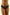 Panties Wolbar - CELIA MODA