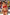Swimsuit two piece Marko - CELIA MODA