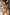 Swimsuit two piece Marko - CELIA MODA