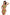 Swimsuit two piece Marko - CELIA MODA