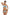 Swimsuit two piece Marko - CELIA MODA