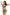 Swimsuit two piece Marko - CELIA MODA