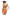 Swimsuit two piece Marko - CELIA MODA