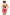 Swimsuit two piece Marko - CELIA MODA