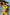 Swimsuit two piece Marko - CELIA MODA