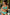 Swimsuit two piece Marko - CELIA MODA