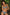 Swimsuit two piece Marko - CELIA MODA