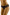 Panties Wolbar - CELIA MODA