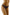 Panties Wolbar - CELIA MODA