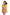 Swimsuit two piece Marko - CELIA MODA