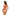 Swimsuit two piece Marko - CELIA MODA