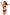 Swimsuit two piece Marko - CELIA MODA