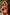 Swimsuit two piece Marko - CELIA MODA