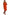 Daydress Stylove - CELIA MODA