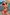 Swimsuit two piece Marko - CELIA MODA