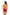 Swimsuit two piece Marko - CELIA MODA