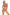 Swimsuit two piece Marko - CELIA MODA