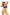 Swimsuit two piece Marko - CELIA MODA