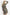 Daydress IVON - CELIA MODA
