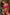 Swimsuit two piece Marko - CELIA MODA