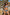 Swimsuit two piece Marko - CELIA MODA