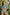 Swimsuit two piece Marko - CELIA MODA
