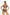 Swimsuit two piece Marko - CELIA MODA