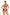 Swimsuit two piece Marko - CELIA MODA
