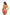 Swimsuit two piece Marko - CELIA MODA